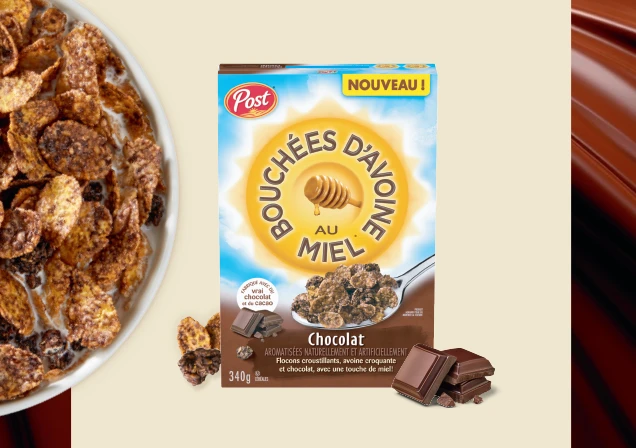 Bouchées de miel et d’avoine au chocolat